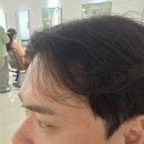 [WD6. E-12] 제이와이 - 💇‍♂️신랑 헤어 스타일링 ㅣ 댄디st