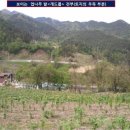 배산 이미지