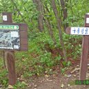 구룡령 옛길 이미지