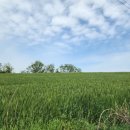 갈곡농장 이미지