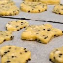 장단콩 두부특화거리 이미지