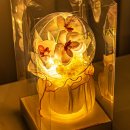 가행나무 이미지