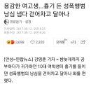 낭심차기하다가 더 위험해 진다는 한남들 (고환차기) 이미지