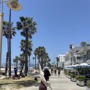 머슬빌런 이미지