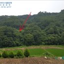 석촌리 이미지