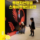 트랜지션정글