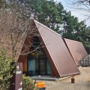 송정자연휴양림 | 경북 칠곡 송정자연휴양림[물푸레나무]내돈내산후기.의성 산수유축제 실시간