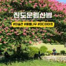 산수화할인마트 | 여름 휴가 진도 가볼만한곳 운림산방 배롱나무 미디어아트