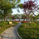 호숫가의아침 이미지