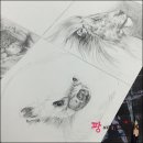 4B 이미지