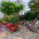 자바브레이크 이미지