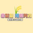 유밀정