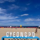 Muscle Bomb(머슬밤) | [강릉] 경포해수욕장에서 강문해변 머슬비치까지 / 경포대 불꽃놀이 밤풍경 사람 많음 주의 돗자리 필수!