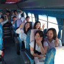 데이굿