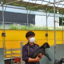 보은염소농장 이미지