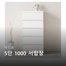 (유)디자인칸 | 메리유 5단 1000 서랍장 100% 리얼 후기 정리