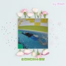 아쿠아차일드순천점 네이버블로그