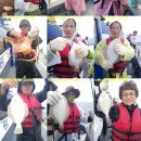 참가자미 이미지