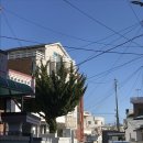 UR(강릉시)-[경강로]-상-23 | [강릉여행] 2박 3일, 뚜벅이 강릉여행 (정화식당 갈치조림 • 오뉴월 카페 • 윤슬서림 북카페) • 강릉...