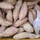 신나농장 이미지