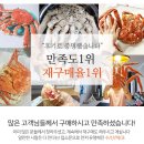 남해싱싱대게 | 킹크랩싯가 올해 최저가 폭발! 러시아대게 가격 인상 전 마지막 100kg 한정 특가