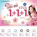 다비치안경성균관대역점 이미지