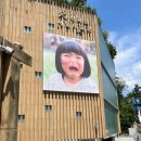 엄성한 | 서울미술관 사란란 Ⅰ석파정 Ⅰ미라이짱