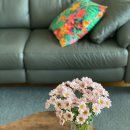 화신공판장 | 양재 꽃시장 @ 꽃시장 추천 매장 리스트, 가격 포함