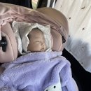 우암병원 | 내돈내산 실버크로스 [ 절충형 유모차 듄2 ] 베이비하우스 청주우암점