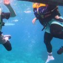 SK뜰에유치원 | 대구 출발 세부 도착! 오슬롭 고래상어 투어, 만 3세 둥이도 다녀왔다!-세 친구 투어