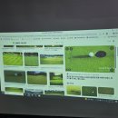 스크린골프연습장 이미지