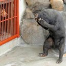 넘어지는 인간인지 이미지