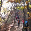 도봉야영장 이미지