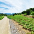 북단양농협적성지소 이미지