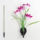 태양스토어 이미지