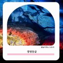 광명자원개발㈜ | 시원한 여행지 동굴탐험 아기랑 광명동굴 다녀온 후기
