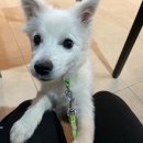 준독트레이닝센터 이미지