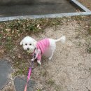 지에스25 순천이편한점 이미지