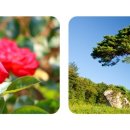 부원고등학교 이미지