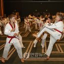 반딧불태권도체육관 이미지