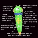 튼튼영어 김포중앙교육본부 이미지