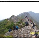 새길약국 이미지