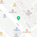 단구페리카나