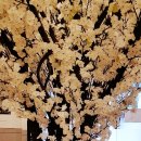 현풍닭칼국수(논공점) 이미지