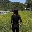 사계리마을회관 | [제주/애월] 여유, 힐링 모음 zip 2 (feat. 발레나리조트 찐후기 불만족한 이유...)