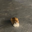 코아페바다펜션 이미지