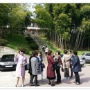 향파로