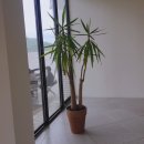 모닝베이커리 이미지