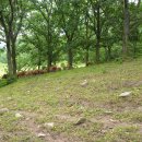 광일목장 이미지