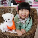 엘리하우스 이미지